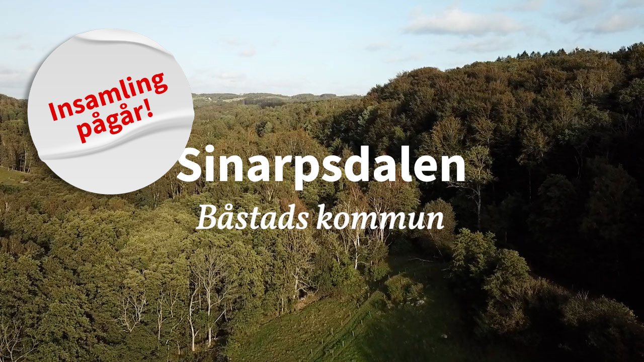 Sinarp insamling