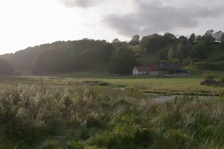 Vandring i Sinarpsdalen