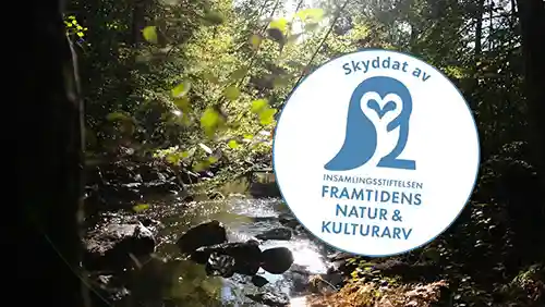 Om stiftelsen Framtidens Natur
