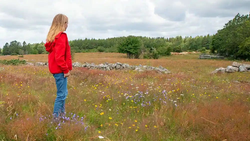 Testamentera till naturen